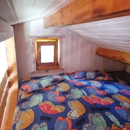 Kleines Studio Im Eichenwaeldchen, 1 Zimmer Kueche Bad Friedrichsgrun Esterno foto