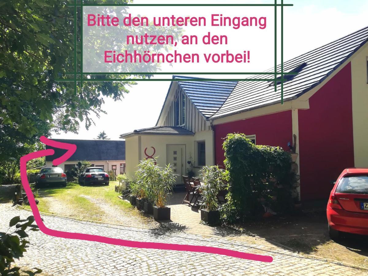 Kleines Studio Im Eichenwaeldchen, 1 Zimmer Kueche Bad Friedrichsgrun Esterno foto
