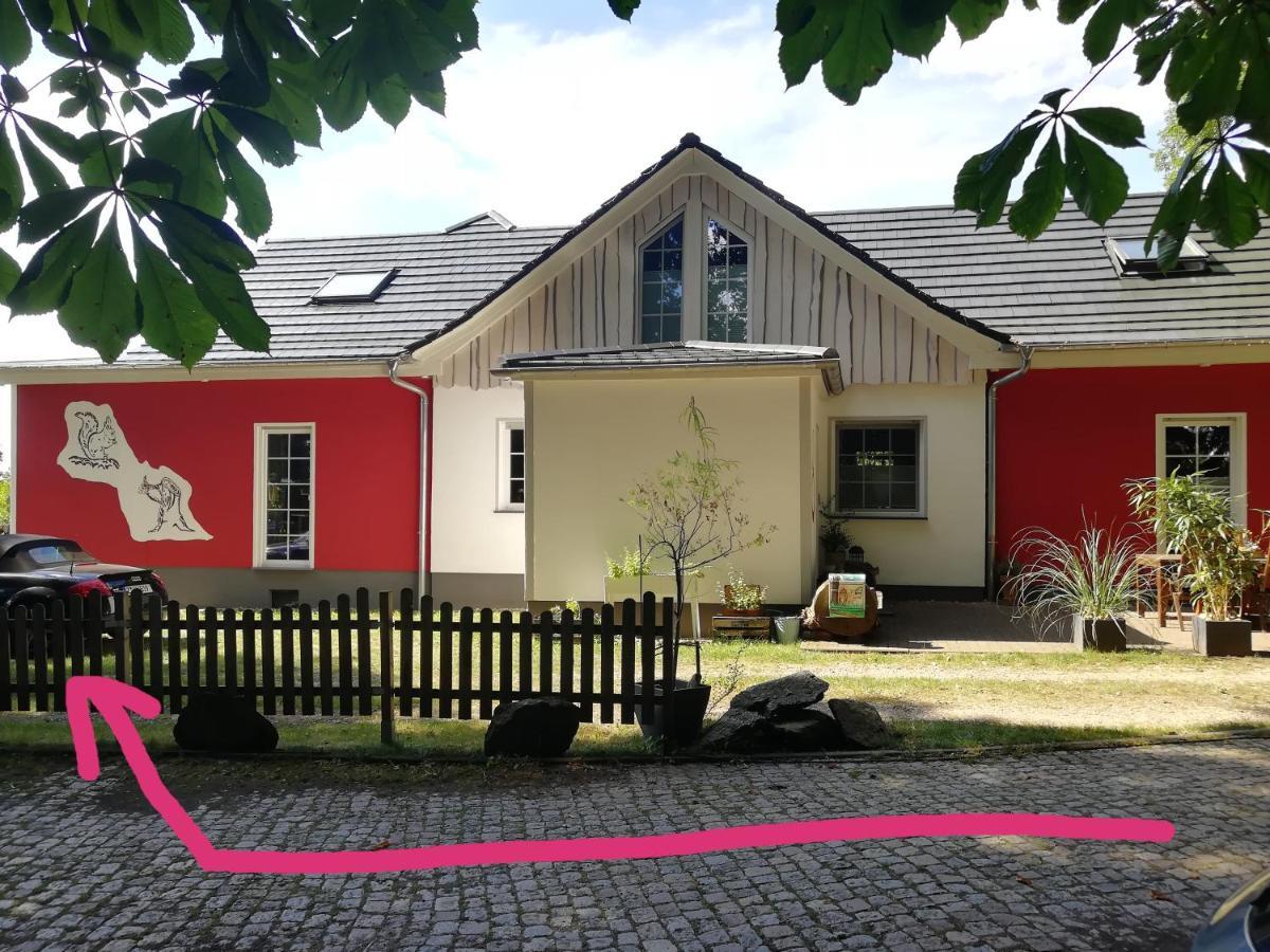 Kleines Studio Im Eichenwaeldchen, 1 Zimmer Kueche Bad Friedrichsgrun Esterno foto