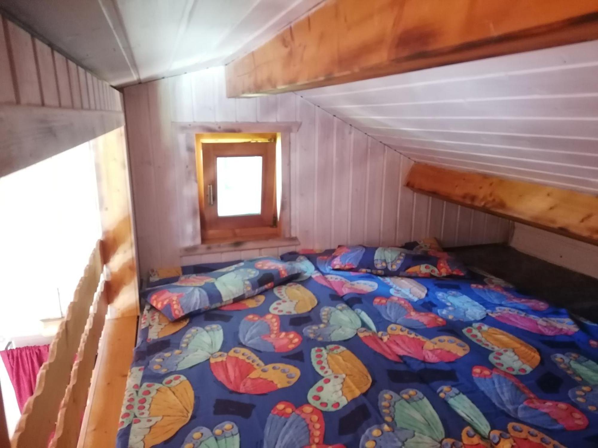 Kleines Studio Im Eichenwaeldchen, 1 Zimmer Kueche Bad Friedrichsgrun Esterno foto